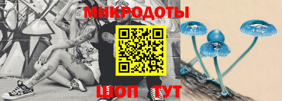 Галлюциногенные грибы Cubensis Октябрьский